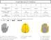 Finis Agility Floating Paddles