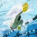Finis Manta Paddle