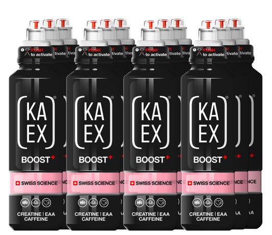 KAEX Go Boost (12 x 460ml)  Blaubeere-Zitrus